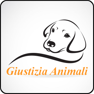 Giustizia animali